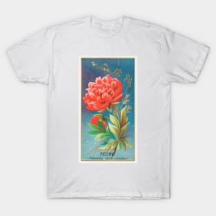 Peony (Paeonia Officinatis) T-Shirt